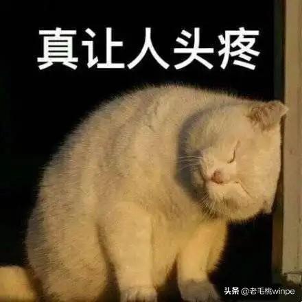 嬰兒配方奶粉的最佳飲用年齡及因