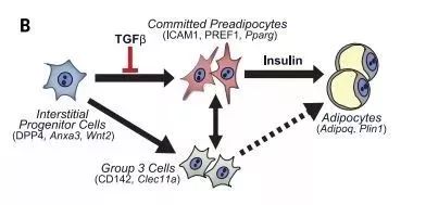 用贊美引導:變孩子任性行的策略