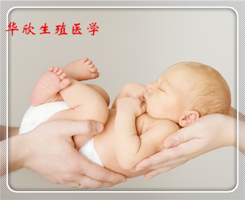 三代試管多少錢?廣州三代試管的電話