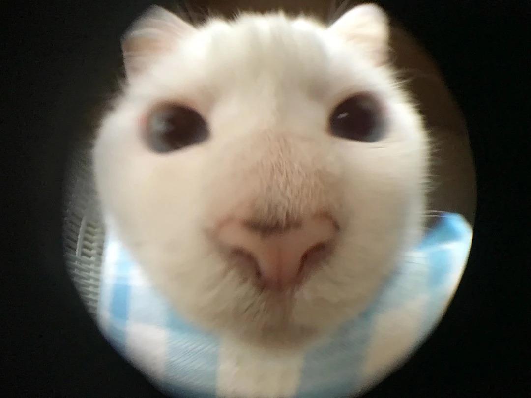 月寶寶如何預防流感？6個月寶寶打疫苗的問題解答