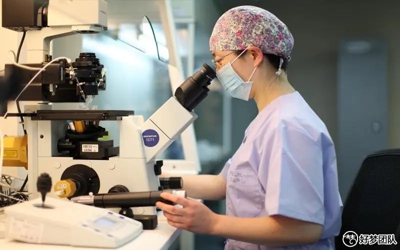 廣州試管助孕費(fèi)用,試管助孕