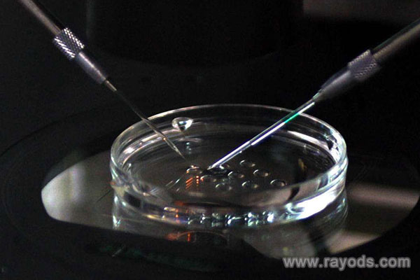 做試管嬰兒前的準備