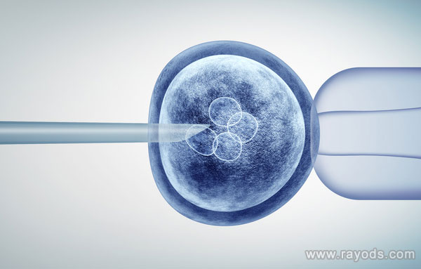 上海助孕有什么條件嘛?做試管成功率泰國醫(yī)院