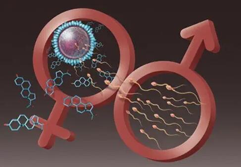 云南省第一人民醫院三代成功率 云南做供卵試管最受歡迎醫院排名 ‘b超寫的哪句有可能是男孩’