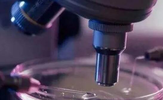 成都做試管成功率最高的醫院有哪些？