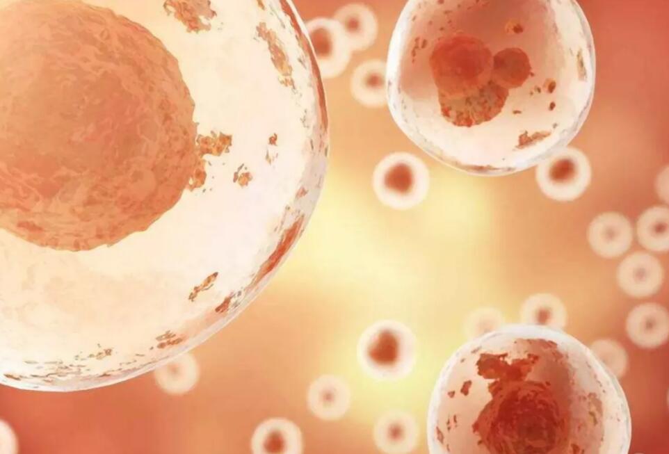 湖北省醫院排名2022最新排名 湖北能做供卵試管嬰兒的醫院有幾家 ‘9個懷女孩征兆’