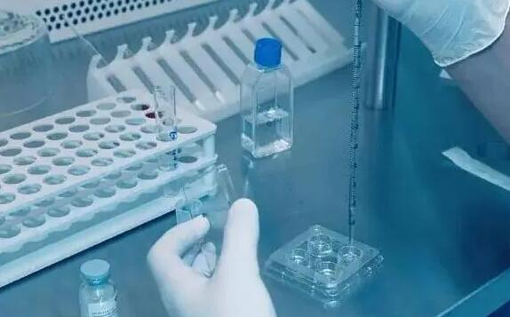 沈陽(yáng)盛京醫(yī)院試管成功率高嗎？技術(shù)怎么樣？