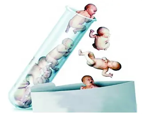 做試管囊胚可以看出是男孩還是女孩嗎