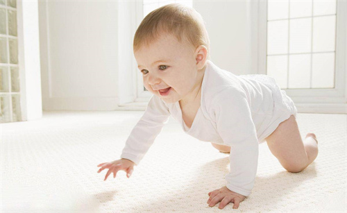 孕婦備孕期間吃這些食物更容易生男孩