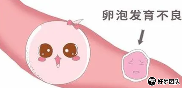 助孕試管,試管助孕網(wǎng)