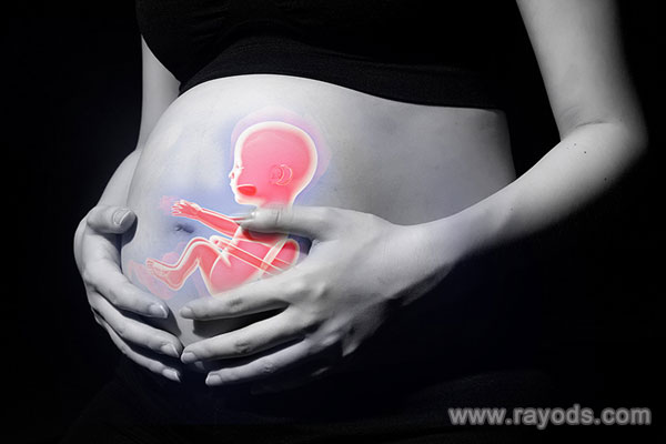 上海做試管供卵流程多少錢?試管供卵多少錢?