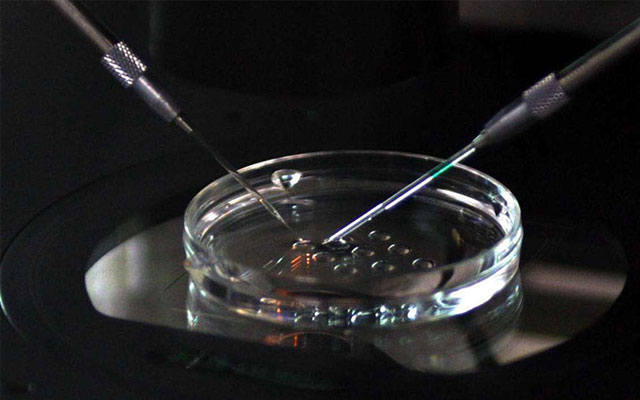 上海大齡供卵試管成功率高么,上海助孕母親被殺