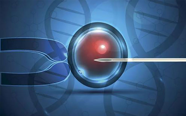 南京供卵排隊多少錢?南京試管成功率排名