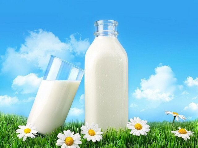 貝因美愛加奶粉好不好