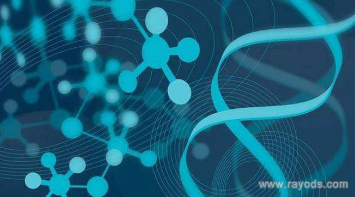 上海試管供卵套餐有哪些,試管供卵網