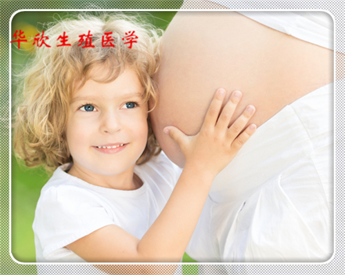 試管代生網(wǎng),試管供卵