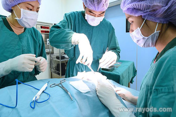 服務好口碑好的助孕,上海集愛三代試管成功率