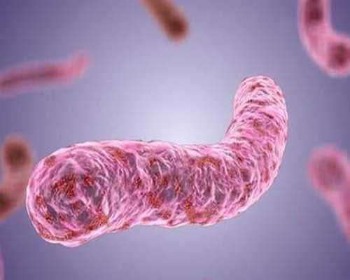 在江門做試管嬰兒要花多長時間?