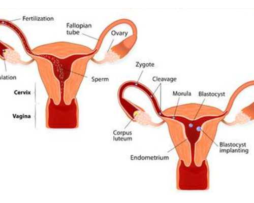 在江蘇做試管嬰兒的步驟和需要注意的事