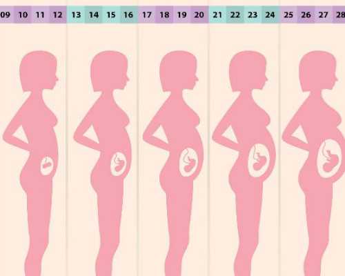 揭陽做試管嬰兒的步驟和花費