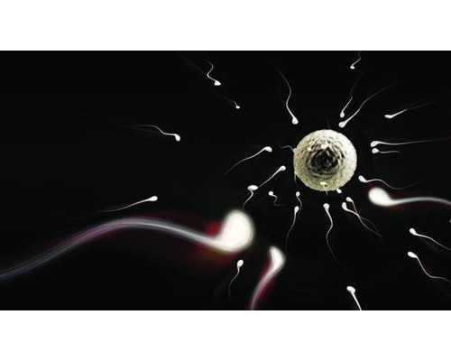 廈門三代試管比二代成功率高嗎？我們來聊聊