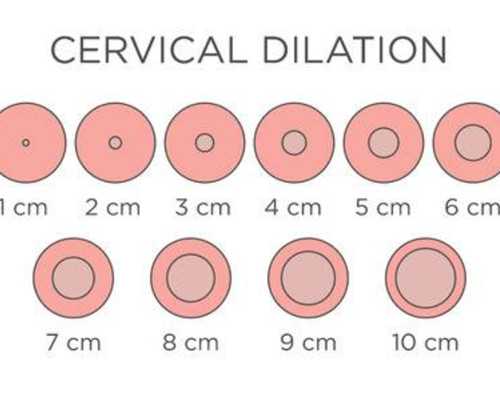 在福州做試管嬰兒,產檢該去哪兒?要注意什么? 在福州做試管嬰兒,產檢該去哪兒?要注意什么?