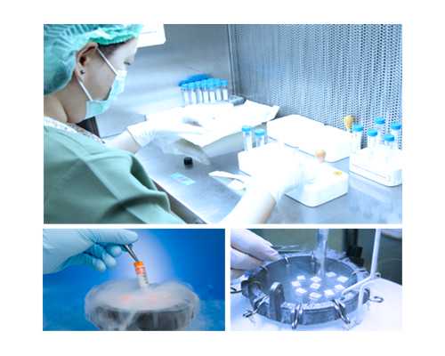 在成都做試管嬰兒要花多少錢