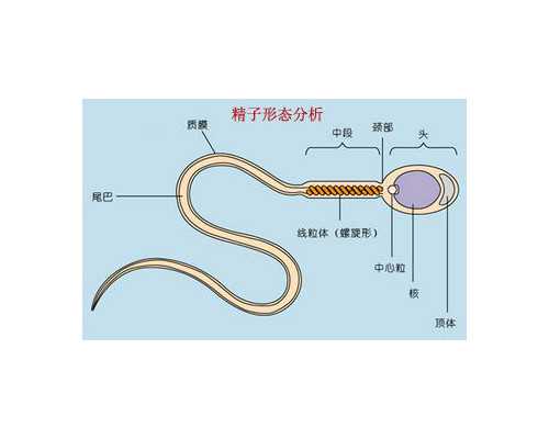 承德做試管嬰兒要花多少錢，以及需要注意什么