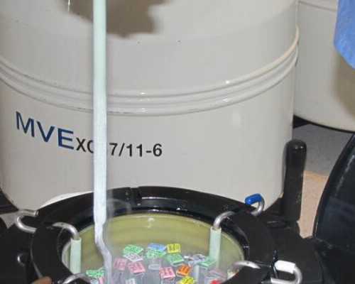 甘肅三代試管醫院怎么選？附供精試管經驗分享