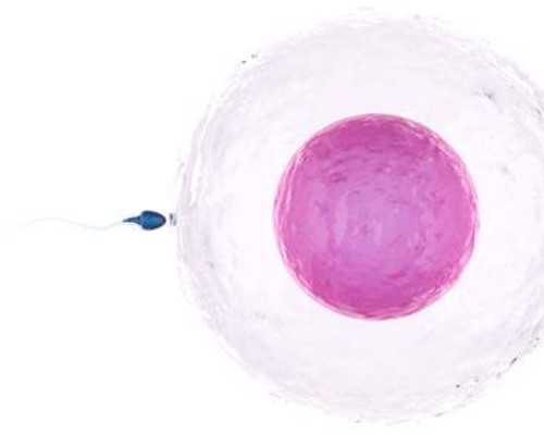 甘肅做試管嬰兒,選哪家醫(yī)院更合適