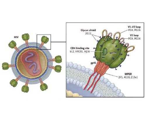 在贛州做試管嬰兒要花多少錢？怎么省錢更劃算