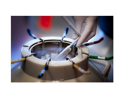 上海做第三代試管嬰兒要花多少錢？這份費用清單給你參考