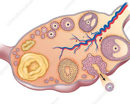 在廣州找助孕公司，怎么挑才放心？