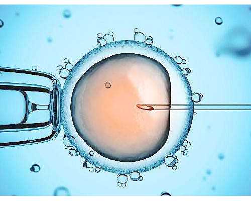 廣州有哪些靠譜的助孕公司？