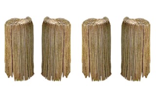 如何檢查胎兒是否健康