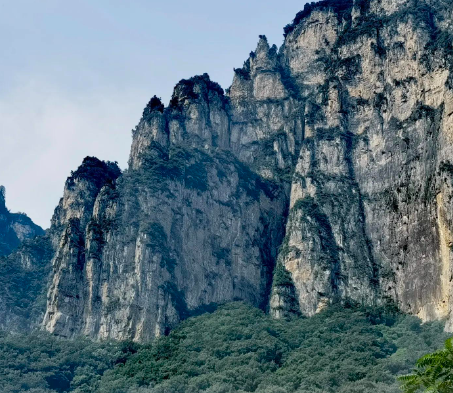 【試管問答】移植后飲食有什么禁忌?_梅州黃塘醫(yī)院做試管嬰兒成功率高嗎