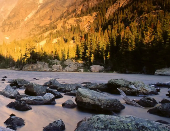 兒科基因檢測，讓孩子健康成長